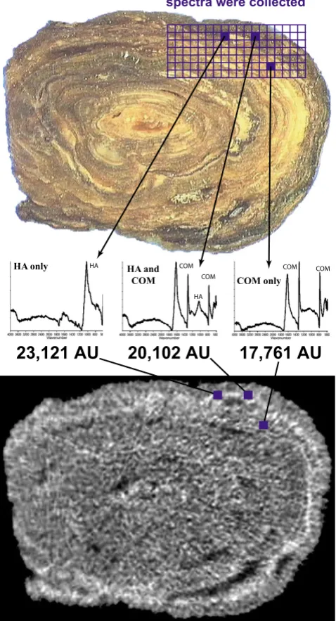 Figure 5 shows some of the imaging capabilities of micro
