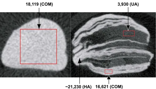 Figure 4Example of micro CT identification of mineral compositionExample of micro CT identification of mineral composition
