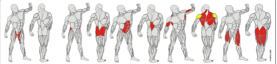 Figure 1 The trained muscle groups of the strength training. (Ab HUR Oy, 67100 Kokkola, Finland, http://www.hur.fi).