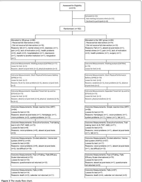 Figure 3 The study flow chart.