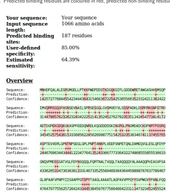 Figure 2.1: Output example of BindN+. BindN+ output for the protein sequence PUM2HUMAN(Q8TB72)