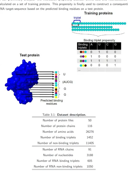 Figure 3.1: RNA-sequence construction based on predicted binding residues. The main idea