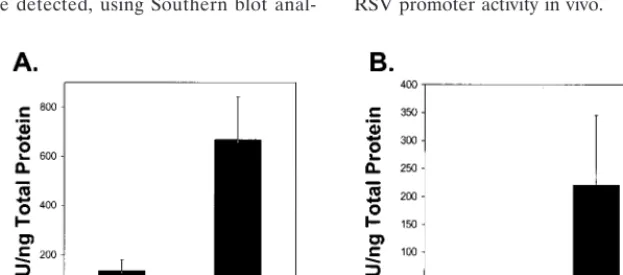FIG. 2. Structural characterization of the Av4orftransferred to a nylon ﬁlter, and hybridized with aanalyzed by(lanes 3 to 8)