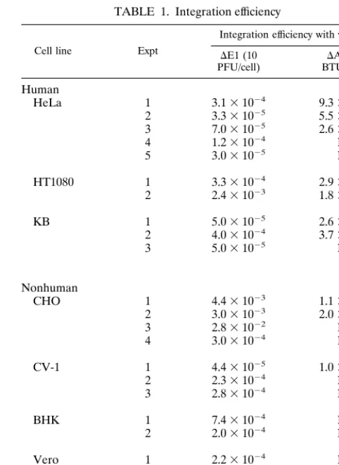 FIG. 1. Structure of adenovirus vectors. H, HindIII sites used for Southern hybridization analysis of the structure of integrated vectors.