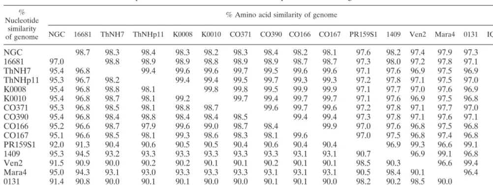 TABLE 3. Comparison of amino acid and nucleotide sequences of the full genome of DEN-2 virusesa