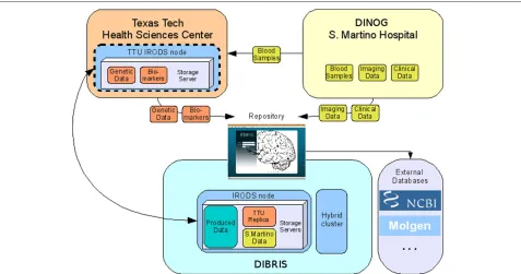 Figure 3 Partner roles and contribution summary. DINOG manages neurophysiological and neuroimaging data, TTHSC manages genetic data,DIBRIS manage the software and hardware infrastructure.