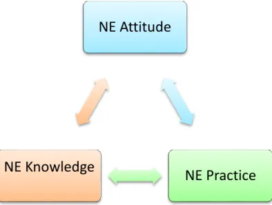 Figure 2: Nurse Educator KAP model. 