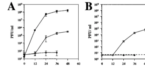 TABLE 1. YF�SK produced by transfected cells