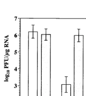 TABLE 2. Effects of mutations at NS4A position 42