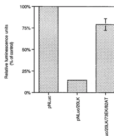 FIG. 3. Relative infectivities of the wt, 20LK, and 20LK/73EK/82AT virusesin H9 cells