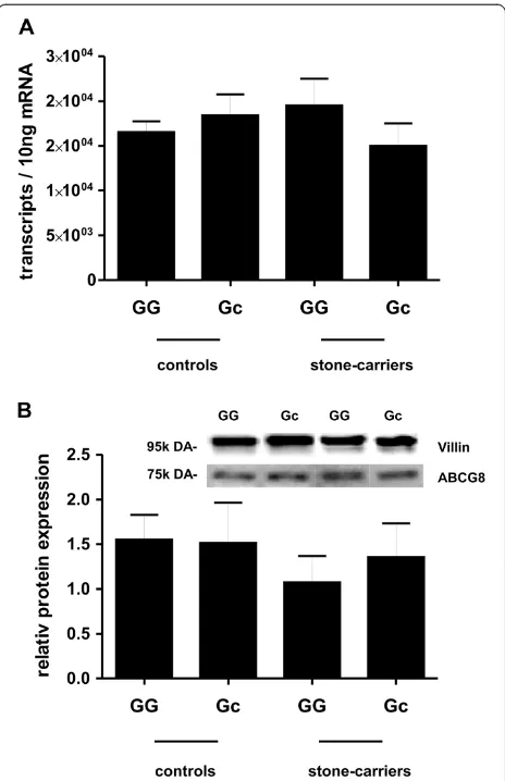 Figure 4 Correlation of ABCG8 expression to the frequency ofand villin in ileal mucosa of control individuals and gallstone carriers,with and without p.D19H
