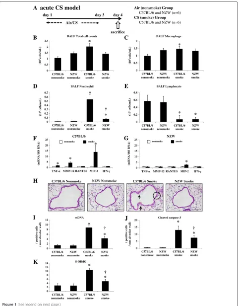 Figure 1 (See legend on next page.)