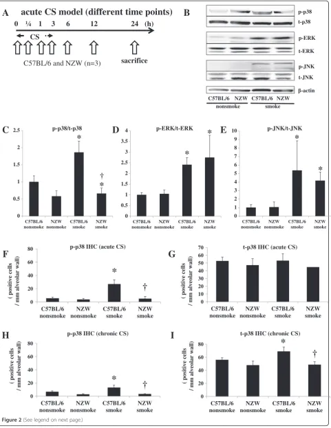 Figure 2 (See legend on next page.)