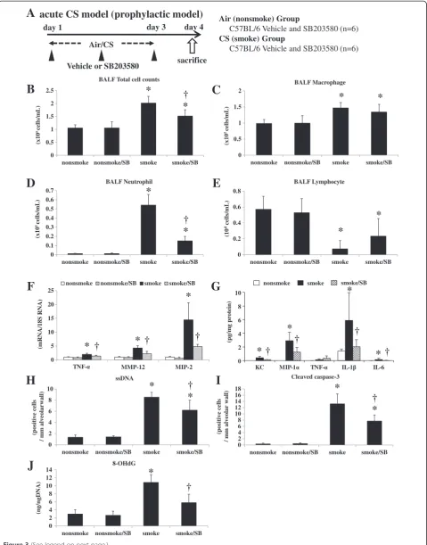 Figure 3 (See legend on next page.)