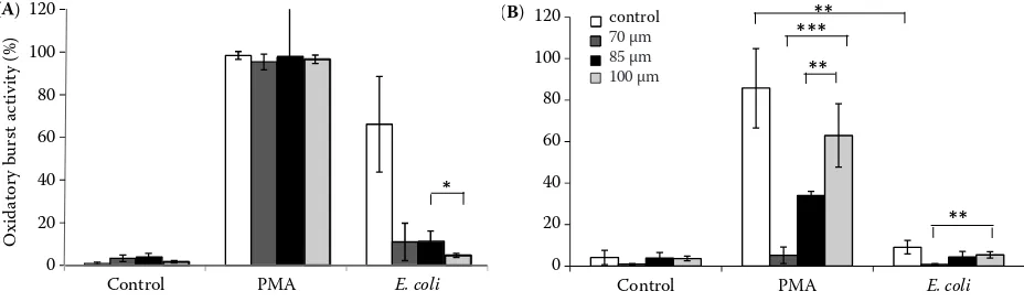Figure 8. Oxidative burst mounting activity of neutrophils prepared by 1 g sedimentation method before (A20 h trophils sorted using the 70 μm, 85 μm and 100 μm nozzle