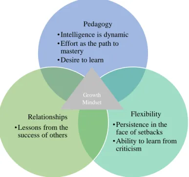 Figure 1  Conceptual Framework for Optimal Program Function 