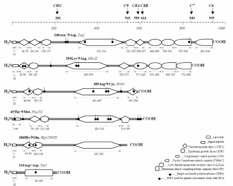 Figure 1. Contribution of cysteine-rich functional protein domains for structural construction of the C6 (DQ333199), C7 (AF162274), C8A (DQ333200), C8B (DQ333201), C8G (DQ333202) and C9 (DQ333198) due to using the Sig-nalP 3.0 (Nielsen et al