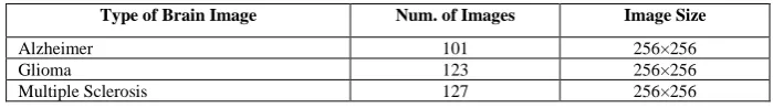 Table 1.  Description of Image Dataset 