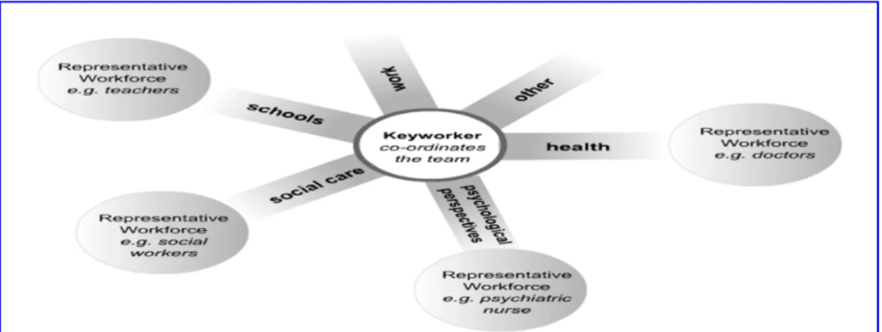 Figure 2.3 Multi-axial model of multi-disciplinary care 