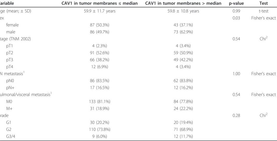Table 1 Association of different patient and tumor specific characteristics with CAV1 protein expression in the tumorcytoplasm.
