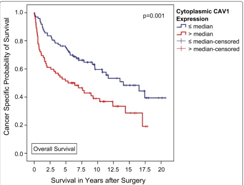 Figure 1 Association between cytoplasmic CAV1 expression and clinical outcome in all patients (Kaplan-Meier; n = 169): The overallsurvival of patients with a higher-than-average CAV1 expression in the tumor cell cytoplasm was significantly shorter compared