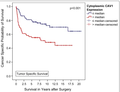 Figure 2 Association between cytoplasmic CAV1 expression and clinical outcome in all patients (Kaplan-Meier; n = 169): The tumor-specific survival of patients with a higher-than-average CAV1 expression in the tumor cell cytoplasm was significantly shorterc