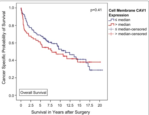 Figure 3 Association between cell membrane CAV1 expression and clinical outcome in all patients (Kaplan-Meier; n = 169): Theoverall survival of patients with a higher-than-average CAV1 expression in the tumor cell membrane did not significantly differ from