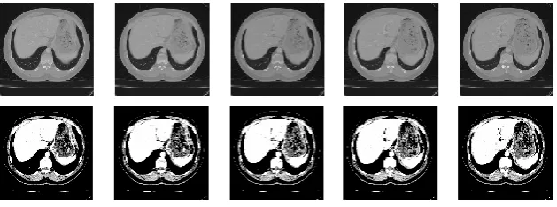 Fig. 4. Dataset images samples.  