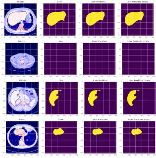 Fig. 8. Predictions results on test images.  