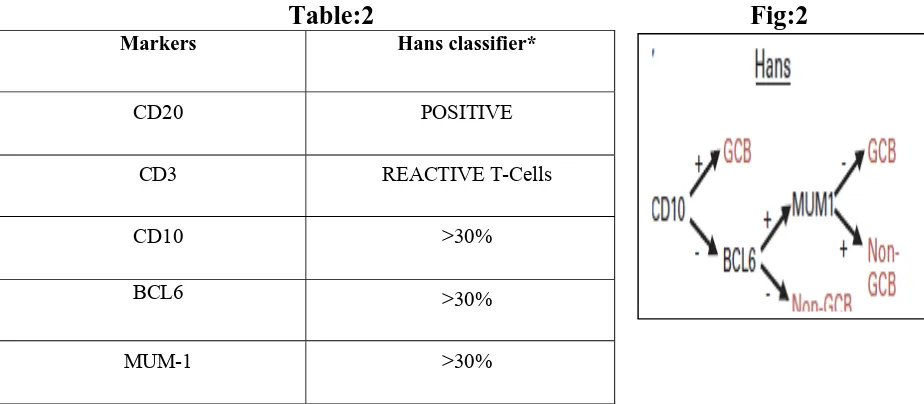 Table:2                                                         Fig:2 Hans classifier*