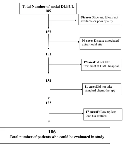 Table:4  Number of DLBCL patients studied 