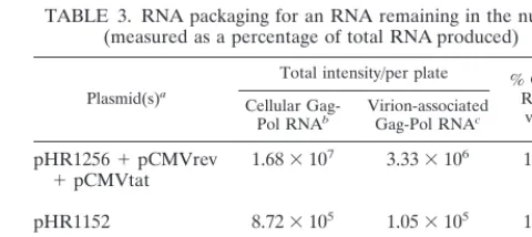 TABLE 2. RNA packaging measured as a ratio of RNA to p24