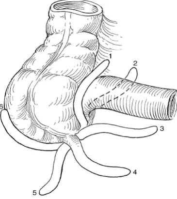 Fig No.2 Positions of Appendix 