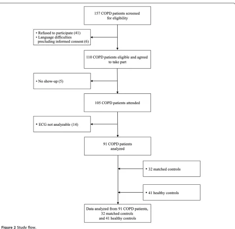 Figure 2 Study flow.