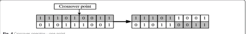 Fig. 3 Chromosome representation