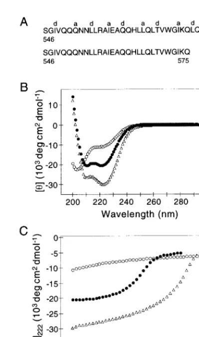 TABLE 1. Summary of CD and sedimentation equilibriumdata for the gp41 model peptides