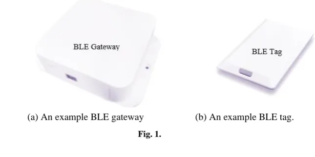 Fig. 1. 