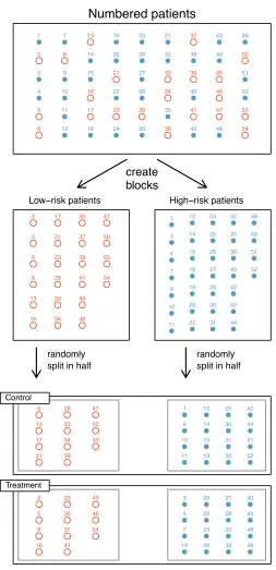 Figure 1.16: Blocking using a variable depicting patient risk. Patients areﬁrst divided into low-risk and high-risk blocks, then each block is evenlyseparated into the treatment groups using randomization
