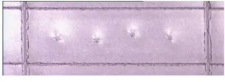 Fig. 4. CSAM image results