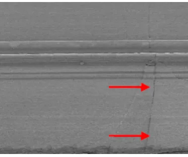 Fig. 6. SEM image on side wall of die