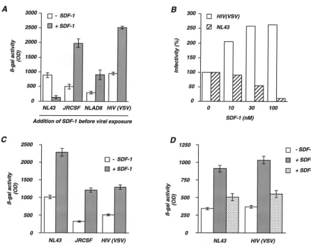 FIG. 1. Opposite effects of SDF-1 on HIV replication. (A). Effect of SDF-1 added before virus exposure