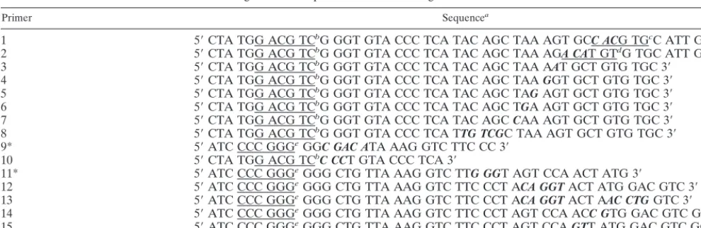 TABLE 1. Oligonucleotide primers used for mutagenesis of the DI9c 3� UTR