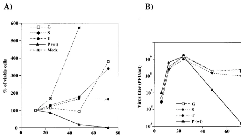 FIG. 8. Viral phenotypes of selected nsP2-726 mutants. BHK cells were transfected with pToto1101 (wild type [wt]; 726P), pToto/nsP2-726G, pToto/nsP2-726S, orpToto/nsP2-726T transcripts or mock transfected with no RNA (Mock)