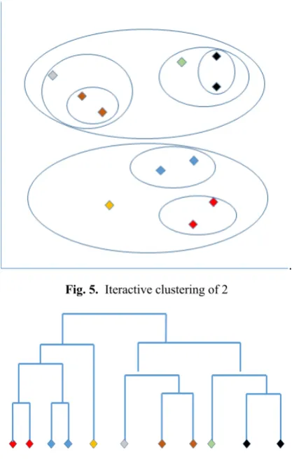 Fig. 6. The generated phylogenetic tree 