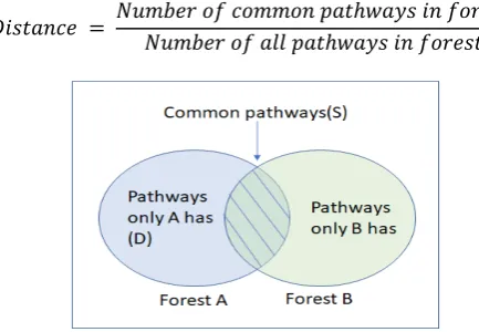 Fig. 3. k-mer forest pruning 