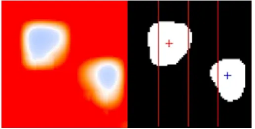 Fig. 5. Tracking 2 blobs.  
