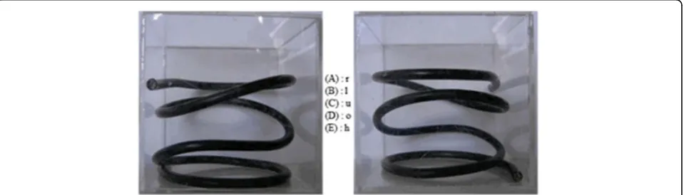 Fig. 2 Example of a mental rotation skill: hose figure. Here is an example of a hose figure where the spatial sense is tested