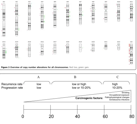 Figure 3 Overview of copy number alterations for all chromosomes. Red: loss, green: gain.