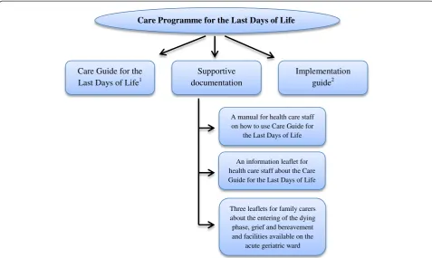 Figure 1 The Care programme for the last days of life. 1A multi-professional document that provides a template of care for the last days andhours of life with recommendations on different aspects of care and guidance for the psychological and spiritual sup