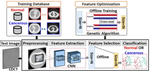 Fig. 2. Proposed CADe system for nodule detection composed of four steps: Preprocessing, feature extraction using CNN, feature selection using offline genetic algorithm training, and classification, the output is either normal or cancerous 
